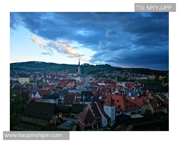 布莱克尼的魅力探寻：揭开这座城市的历史与文化之美