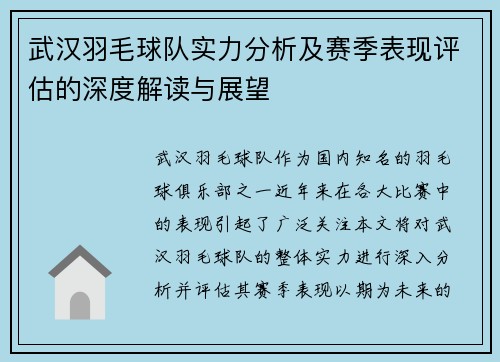 武汉羽毛球队实力分析及赛季表现评估的深度解读与展望